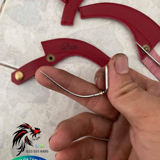 Cựa Gà Tre 47 Lai 25 Thông Kim