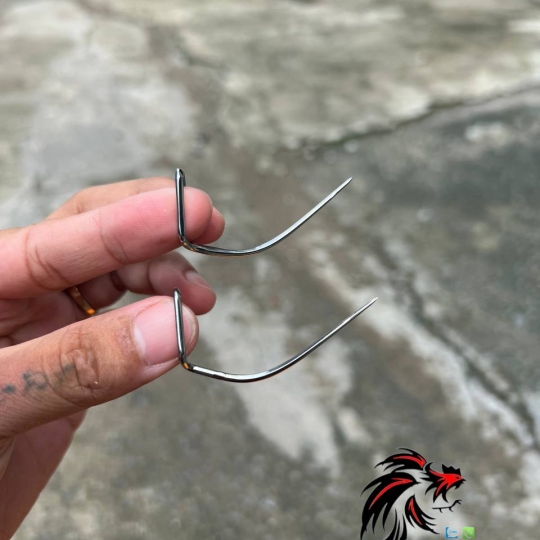Cựa Gà Tre 48 Việt Lai Cải Tiến Không Bọc Đồng