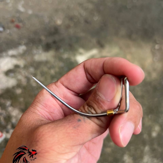 Cựa Gà Tre 53 Lai 25 Thông Kim